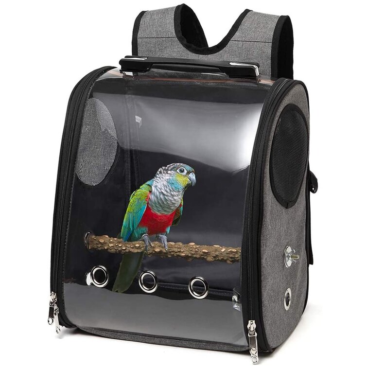 Plastic hot sale bird carrier